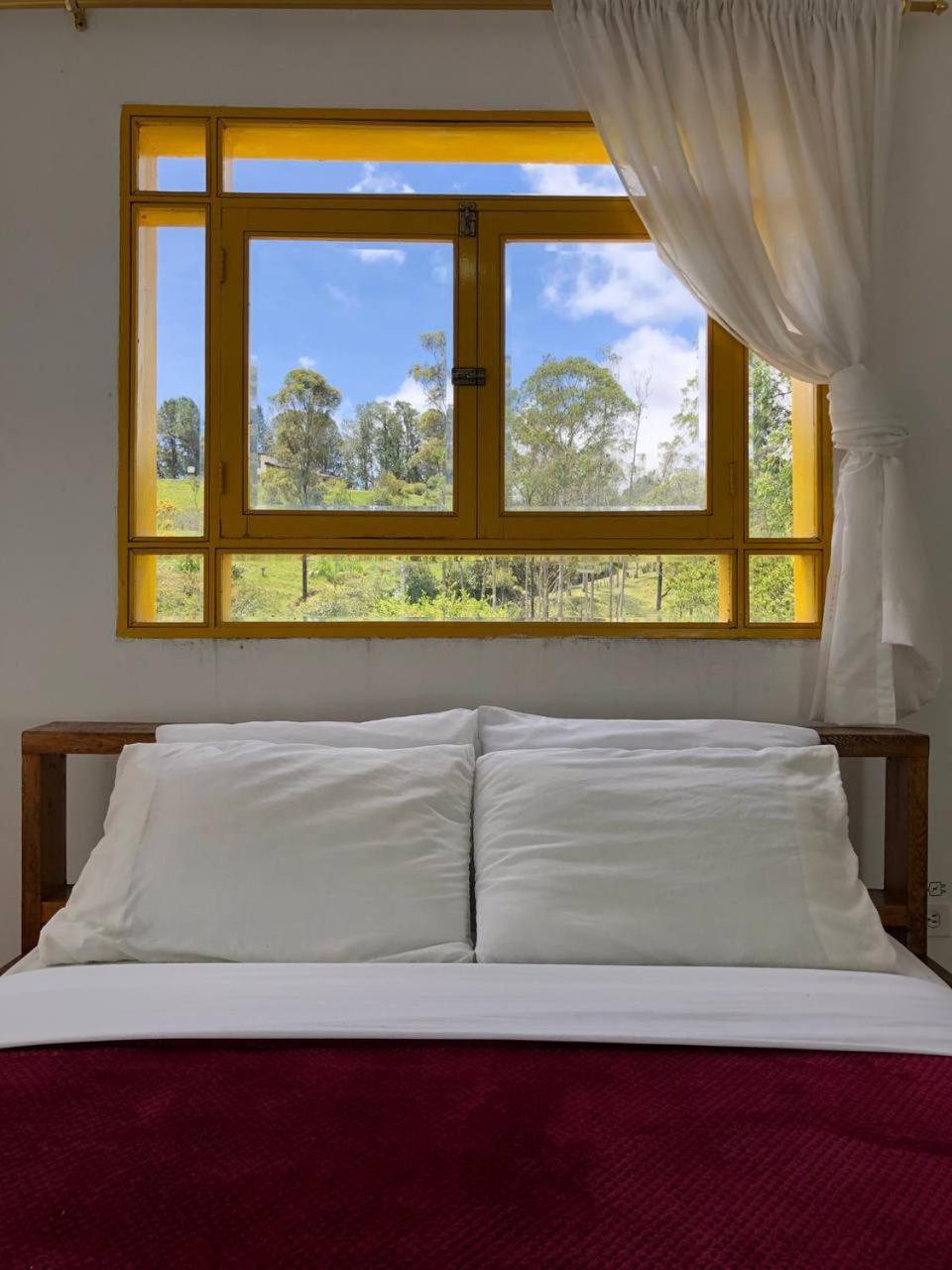 Alegria Hostel Boutique Guatape Ruang foto